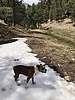 photo thumbnail #2