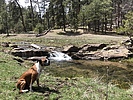 photo thumbnail #3
