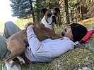 photo thumbnail #4