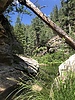 photo thumbnail #8