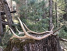 photo thumbnail #10