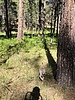 photo thumbnail #13
