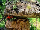 photo thumbnail #1