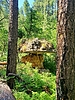 photo thumbnail #7