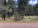 photo thumbnail #5