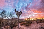 photo thumbnail #13