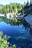 photo thumbnail #15