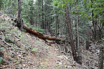 photo thumbnail #2