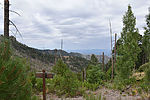 photo thumbnail #4