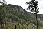 photo thumbnail #5