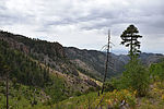 photo thumbnail #6