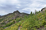 photo thumbnail #7