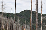 photo thumbnail #10