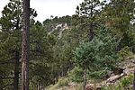 photo thumbnail #11