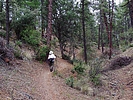 photo thumbnail #9