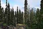 photo thumbnail #4