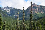 photo thumbnail #8