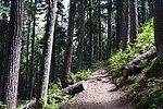 photo thumbnail #11