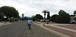 photo thumbnail #8