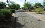 photo thumbnail #7