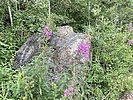 photo thumbnail #2