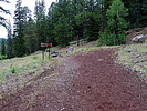 photo thumbnail #12