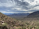 photo thumbnail #4
