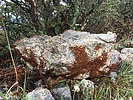 photo thumbnail #3