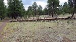 photo thumbnail #11