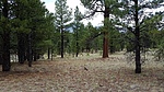 photo thumbnail #12