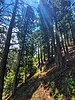 photo thumbnail #8