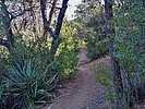 photo thumbnail #6