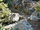 photo thumbnail #7