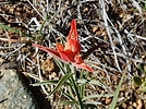 photo thumbnail #15