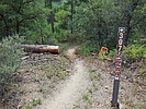 photo thumbnail #3