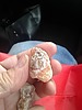 photo thumbnail #4