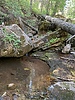 photo thumbnail #10