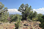 photo thumbnail #4