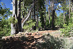 photo thumbnail #6