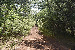 photo thumbnail #1