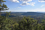 photo thumbnail #4