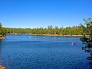2020-07-30 :1: Woods Canyon Lake Trail - Mogollon Rim :: kingsnake