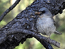 2020-07-29 :2: Kendrick Park Watchable Wildlife Trail :: outdoor_lover