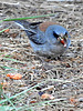 2020-07-29 :2: Kendrick Park Watchable Wildlife Trail :: outdoor_lover