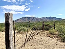 photo thumbnail #1
