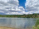 photo thumbnail #3
