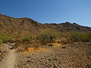 photo thumbnail #10