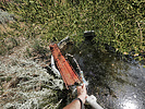 photo thumbnail #9