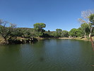 photo thumbnail #1