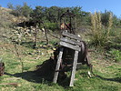 photo thumbnail #5